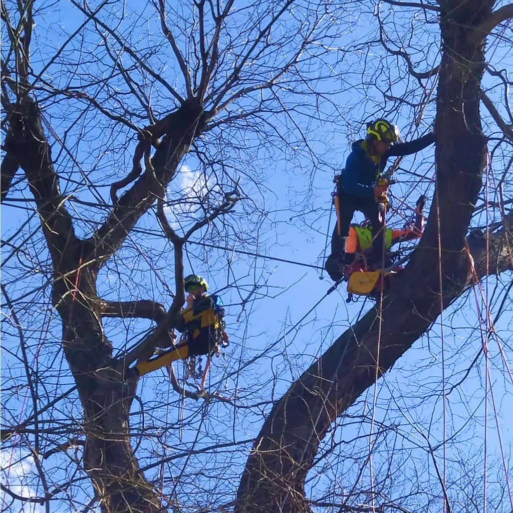 Bezpečnostní vazby