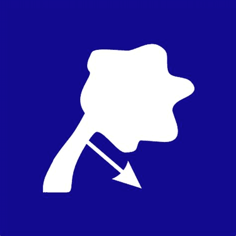 TreeQinetic + Arbostat